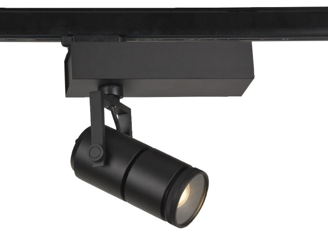 32987 1-Light Track Lighting in Black - Transitional - Track Heads And ...