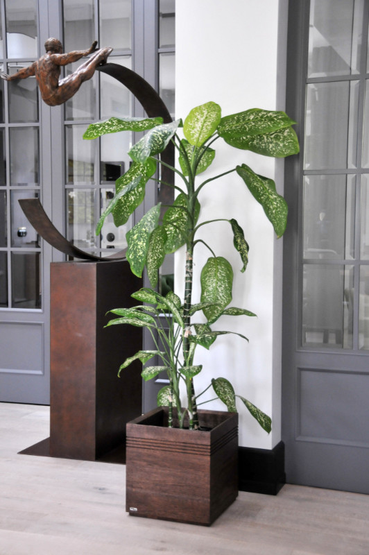 Wood panters in moden Moscow house