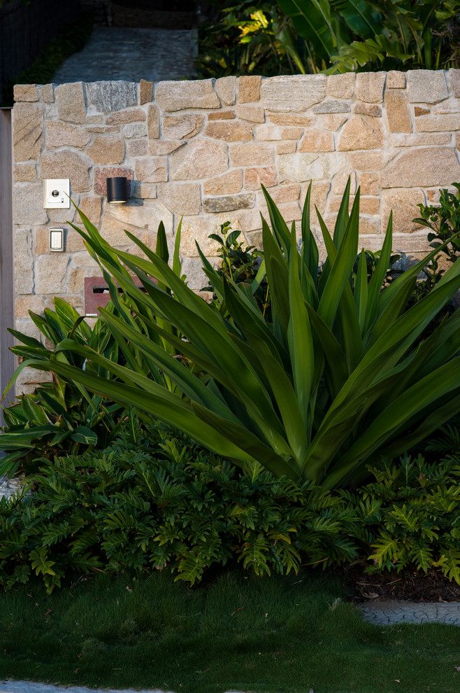 Tropical Garden - Palm Beach - Landscape - Sydney - by sticks and