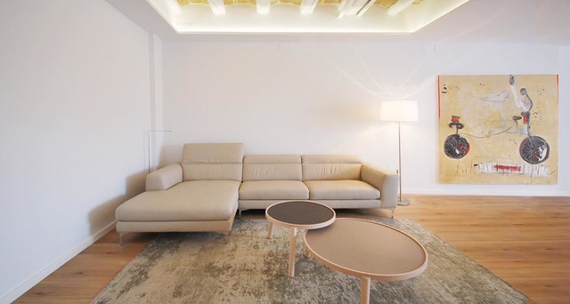 Sal&oacute;n contemporary-living-room