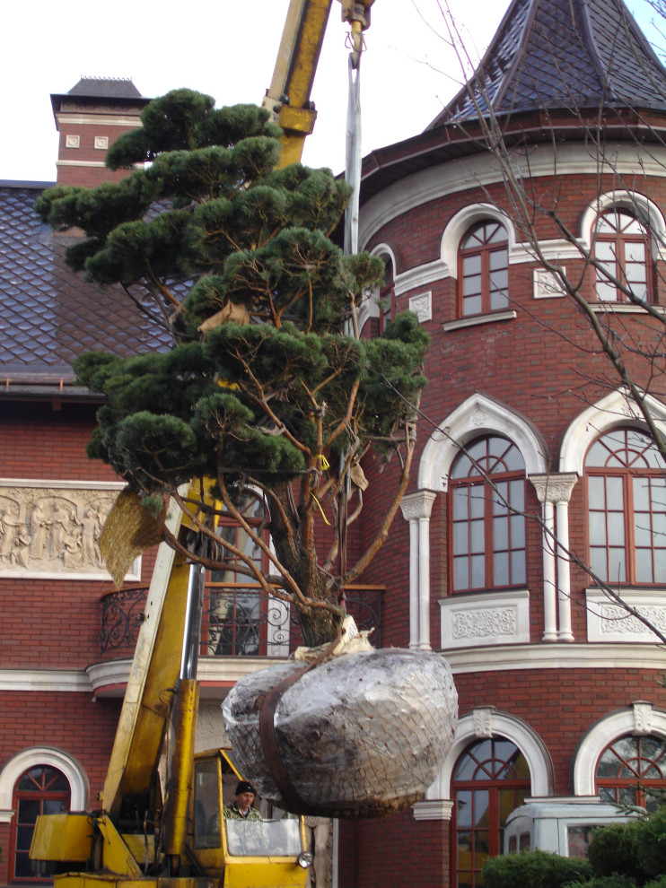 Сад с водопадом. Калчуга 2006 г