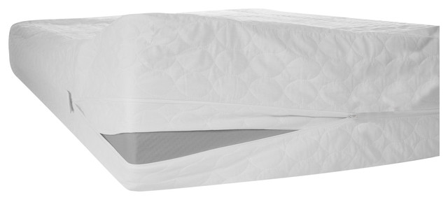 twin xl bed bug mattress protector