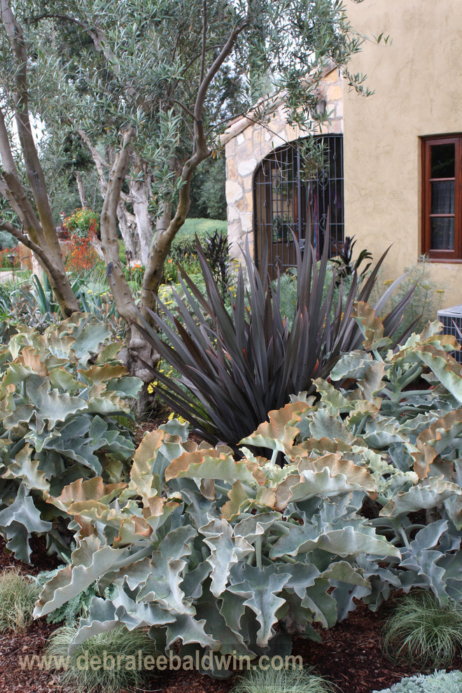 Inspiration for an eclectic garden in San Diego.