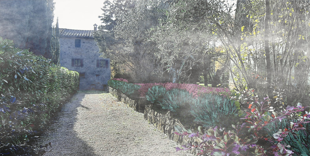 Cascina in collina con uliveto