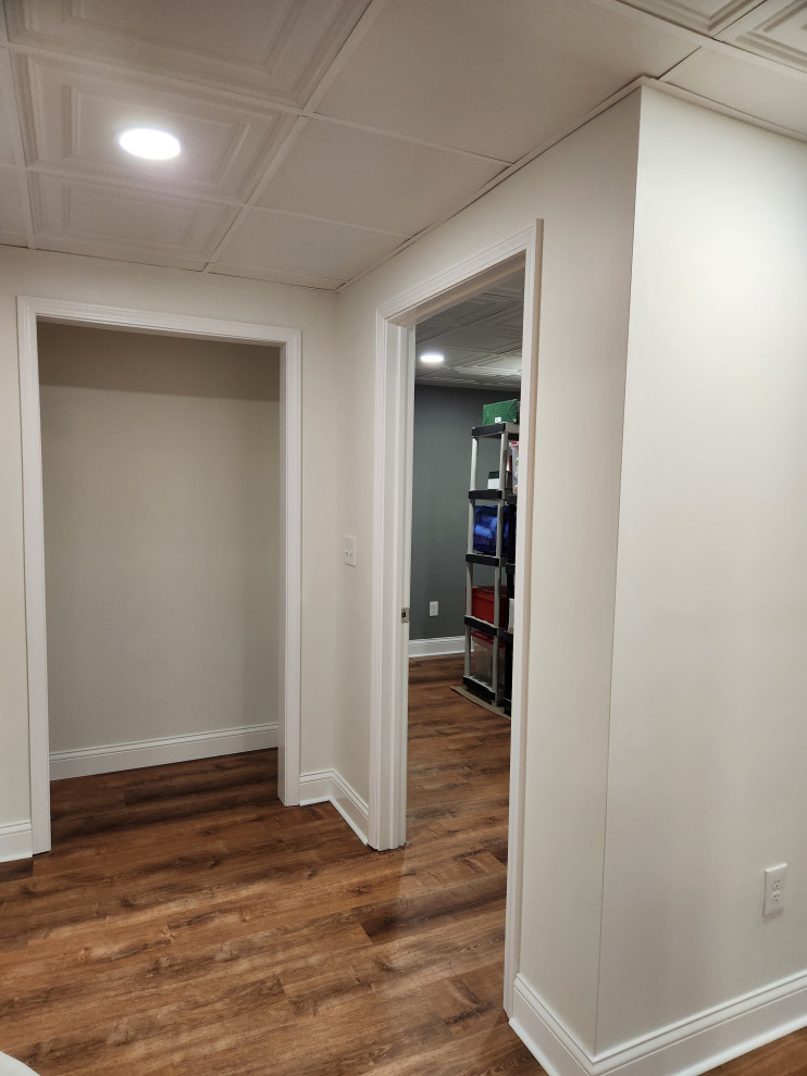 Basement Remodel