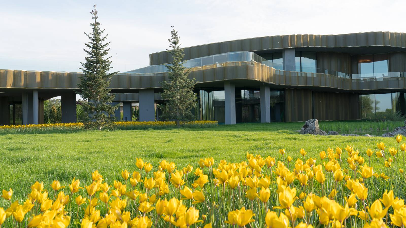 Природный сад. Жуковка XXI век. 2017-2018 гг.