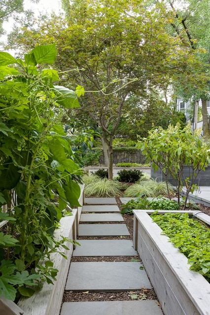 Brookline Modern Front Yard traditional-garden