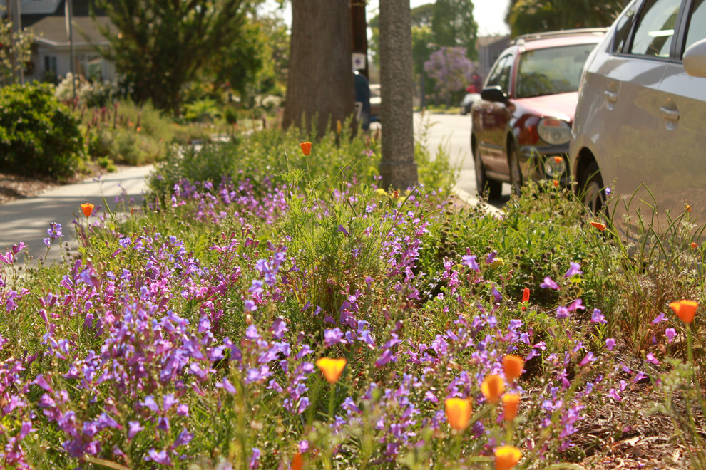 Design ideas for a mid-sized country front yard partial sun xeriscape for spring in Los Angeles with mulch.
