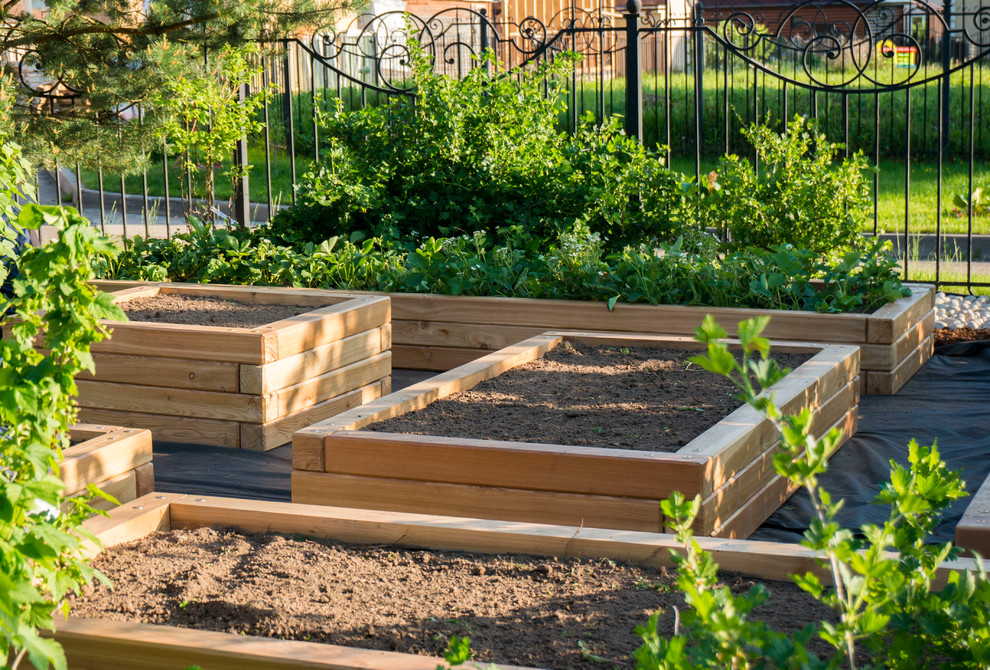 Грядки из лиственницы