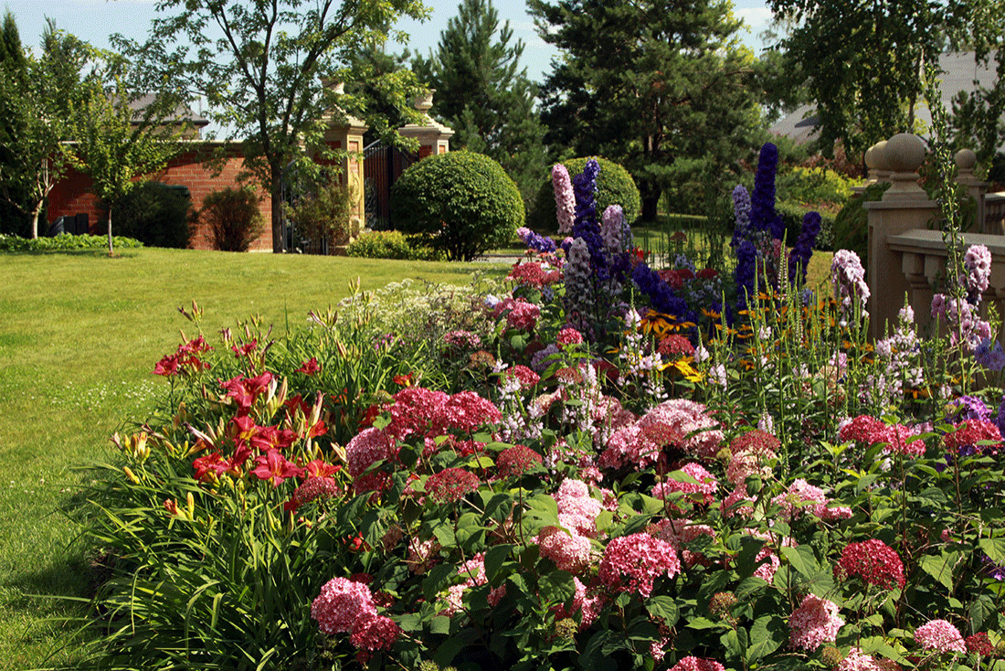 "Малиновый этюд" на фоне