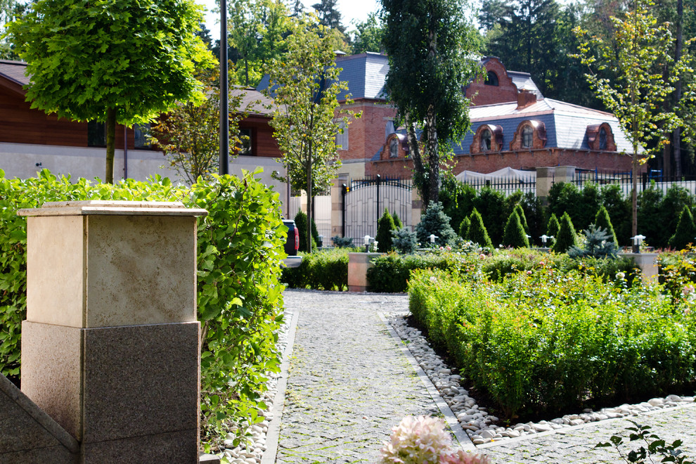 Глянцевый лес