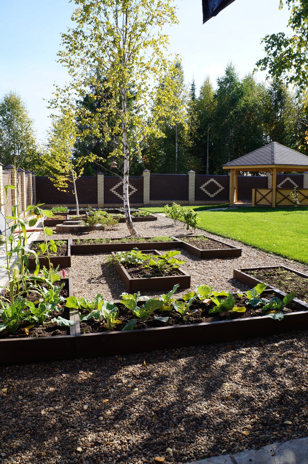 среди берез