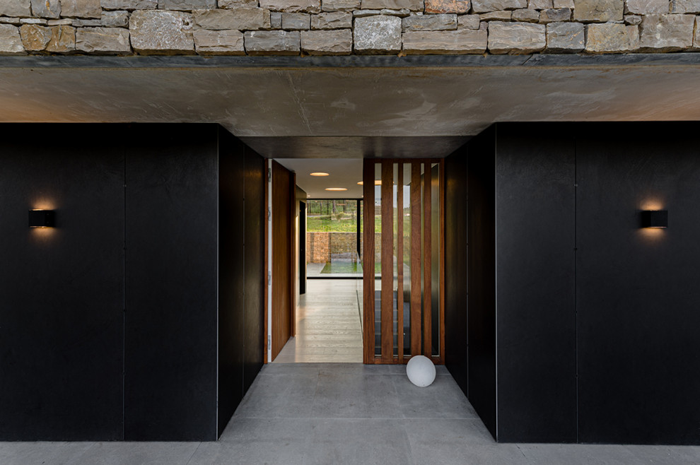 Foto di una grande porta d'ingresso moderna con pareti nere, parquet chiaro, una porta a pivot e una porta in legno bruno