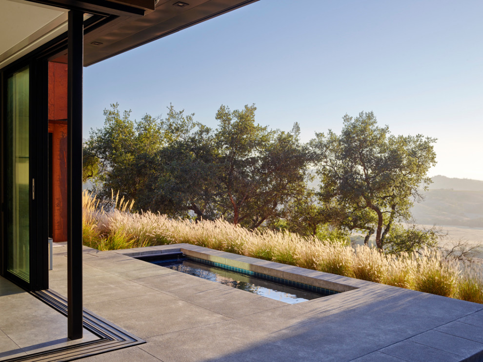 Cette image montre une grande terrasse arrière minimaliste avec des solutions pour vis-à-vis.