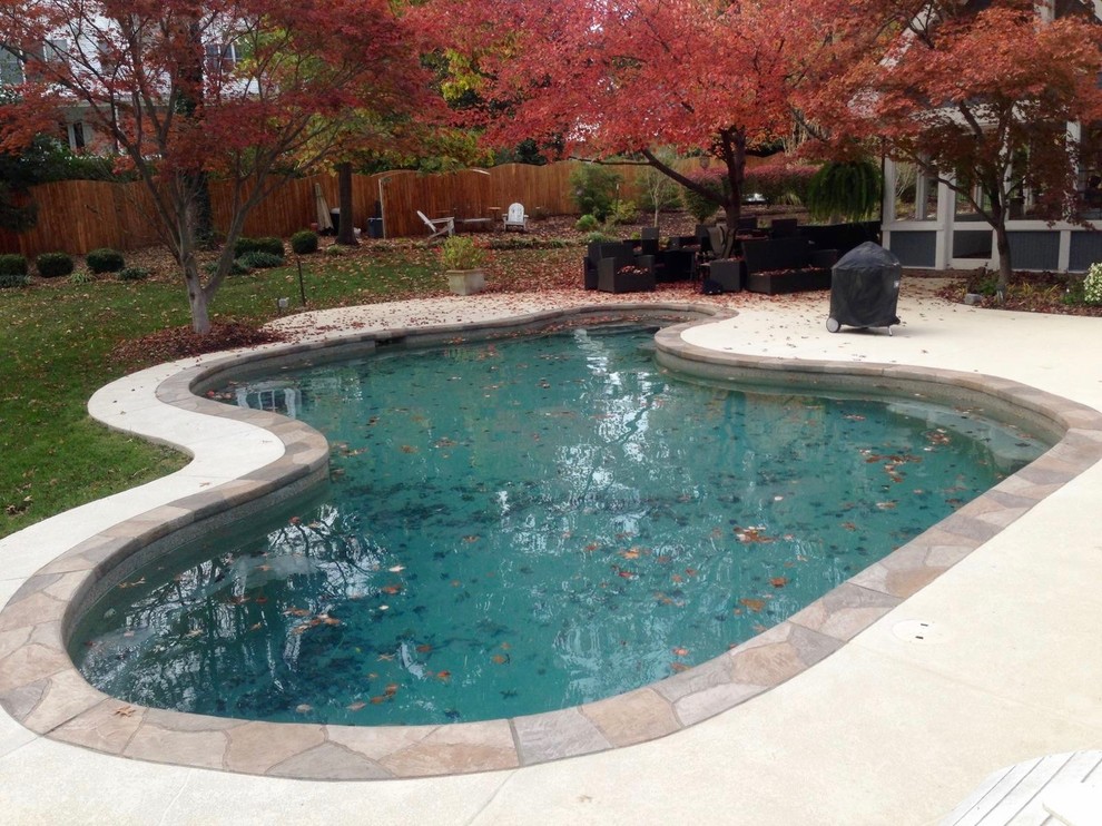 This is an example of a mid-sized traditional backyard custom-shaped natural pool in St Louis with stamped concrete.