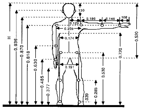 Anthropometry An Ideabook By Kathryn Rumsey   Home Design 