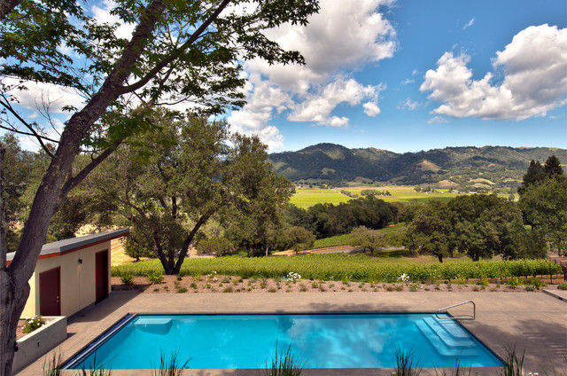 Healdsburg Vineyard Haven contemporaneo-piscina