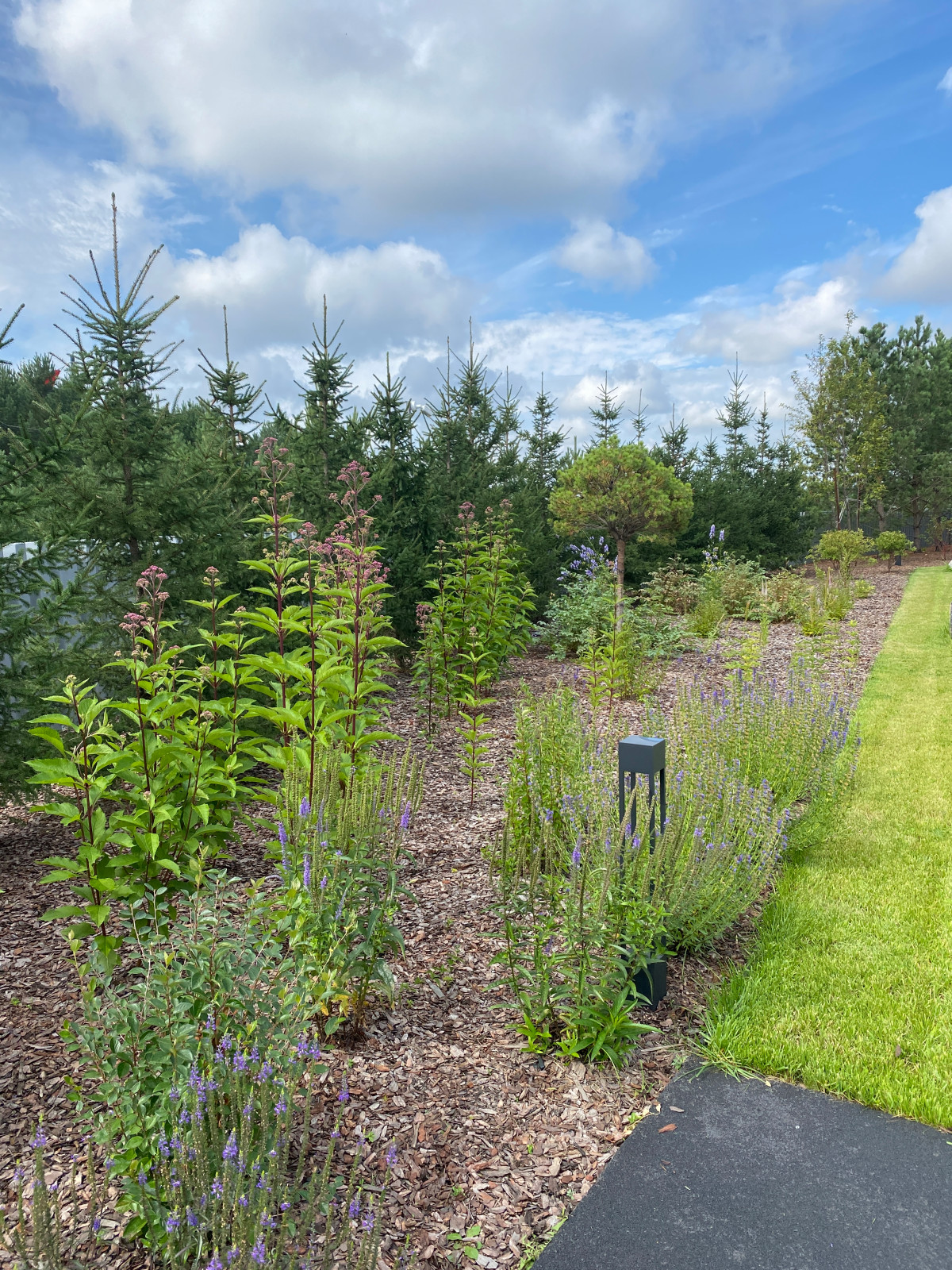 Современный сад на берегу реки