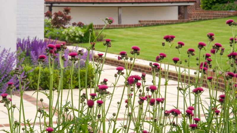 This is an example of a large farmhouse side garden in Hampshire.