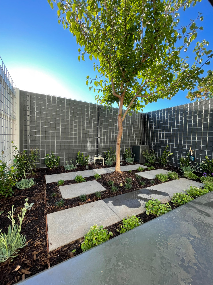 Foto di un piccolo giardino xeriscape design esposto in pieno sole davanti casa in primavera con pavimentazioni in mattoni e recinzione in legno