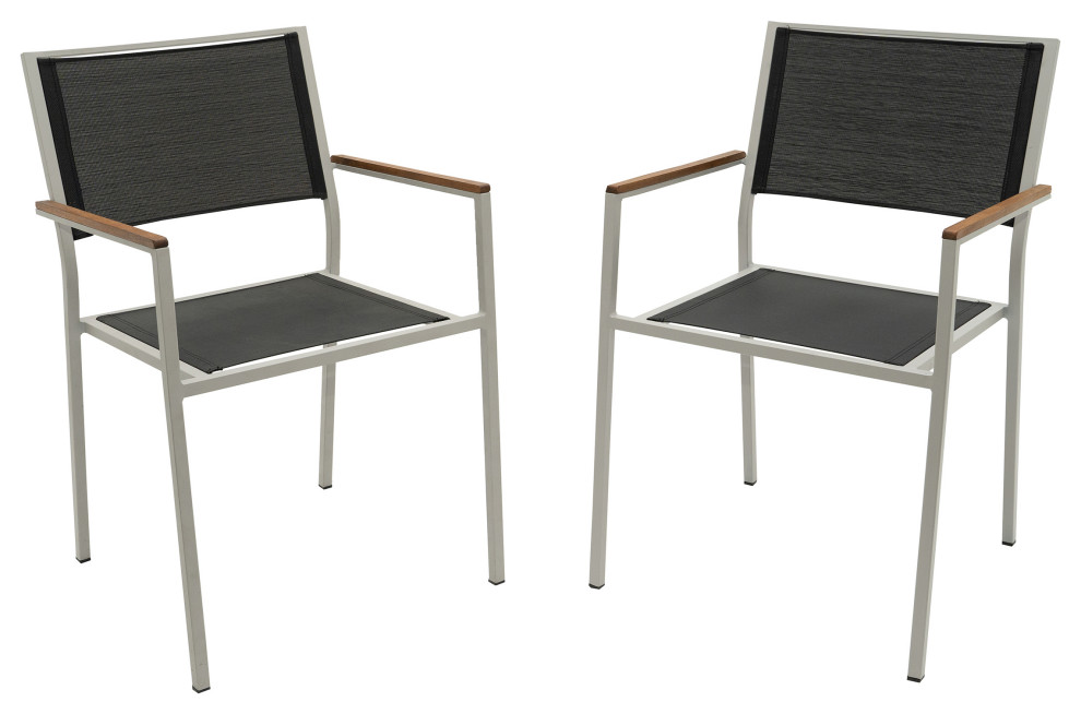 Braylee Patio Chair Set of 2, Black - Contemporary - Outdoor Dining Chairs  - by CAROLINA CLASSICS | Houzz
