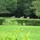 elizabeth_macdonald1286179