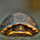 turtlehollow