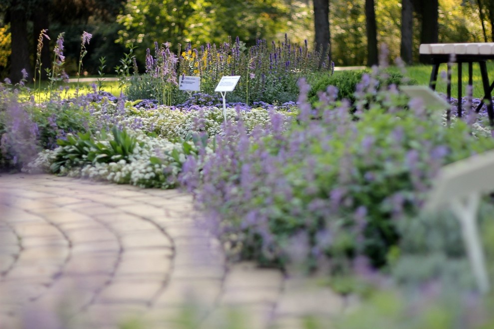 Ландшафт. Цветник в ГБС Москвы (по заказу ландшафтной компании «Формула Сада»)