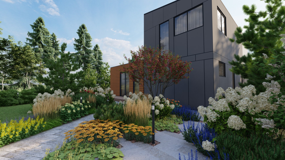 Солнечный лес