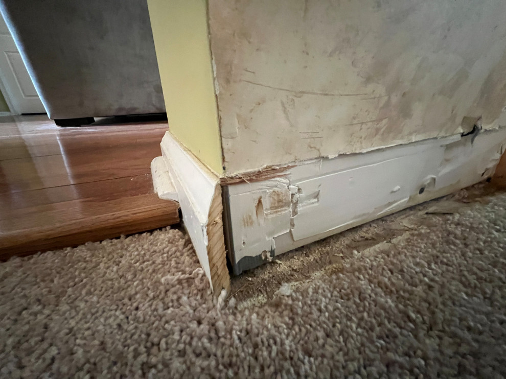 Gloucester Township, Basement Renovation