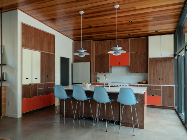 Mid-Century Home Renovation mid-century-kueche