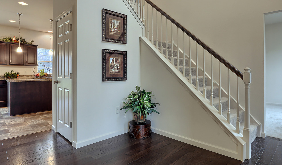 Inspiration for a mid-sized traditional foyer in Other with beige walls and dark hardwood floors.