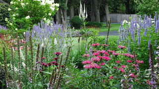 9 Gorgeous Plant Combos for Summer Gardens (12 photos)