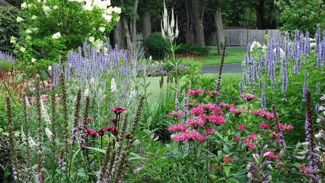  Gorgeous Plant Combos For Summer Gardens - Best Plant Combinations For Landscaping