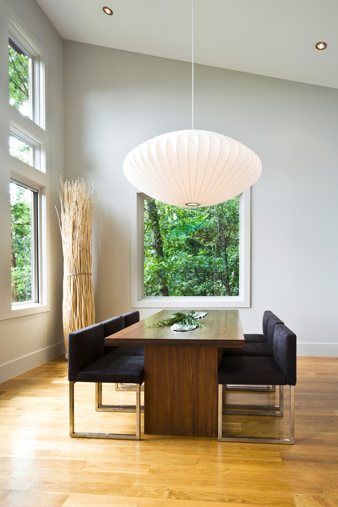 Inspiration for a contemporary dining room in Charlotte with white walls and light hardwood floors.