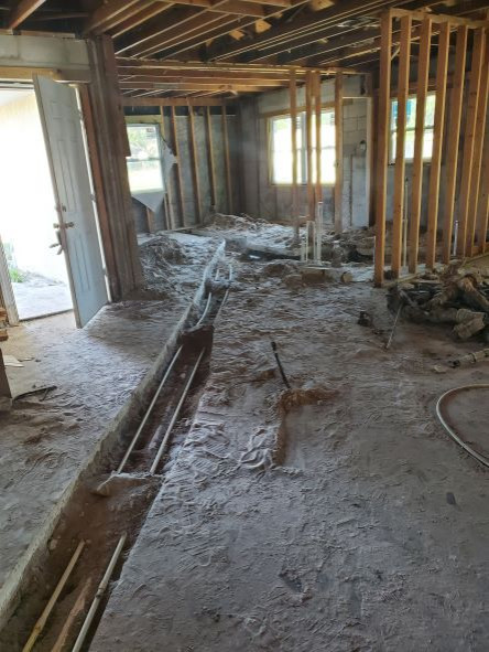 Whole House Renovation