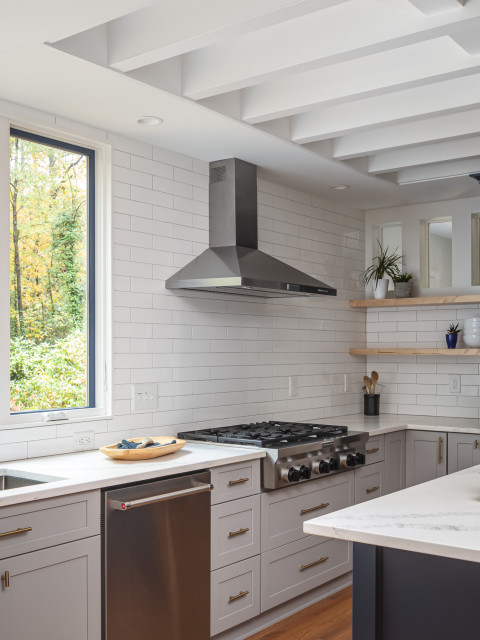 McDowell Project transitional-kitchen