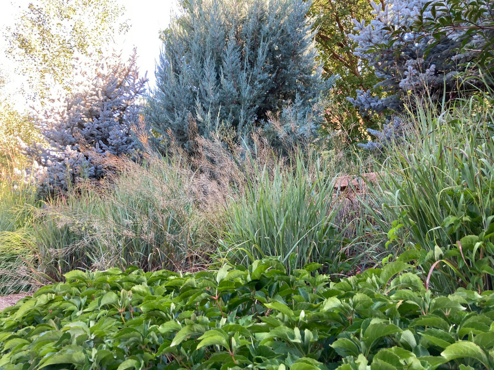 Immagine di un ampio giardino xeriscape minimalista esposto in pieno sole in autunno con un muro di contenimento, un pendio, una collina o una riva e pavimentazioni in cemento