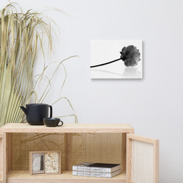 Black And White Flower Canvas Wall Art Resting Lotus Floral Photo, 12 ...