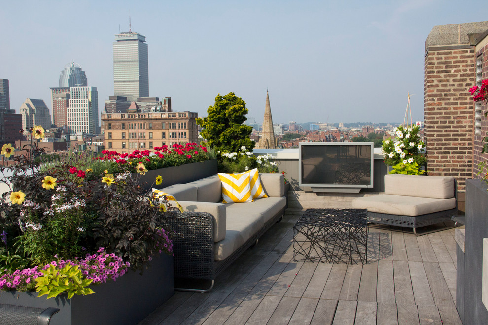 Photo of a contemporary rooftop and rooftop deck in Boston with a container garden and no cover.