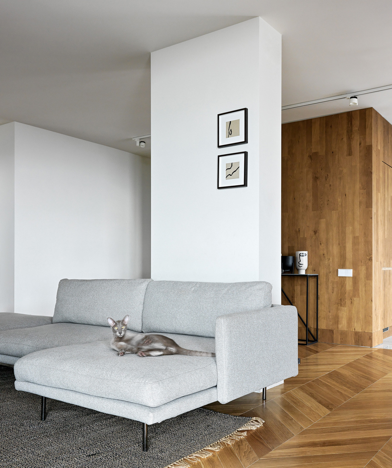 Seaside apartment with a sence of air