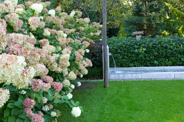 Hortensien zum Herbst garden