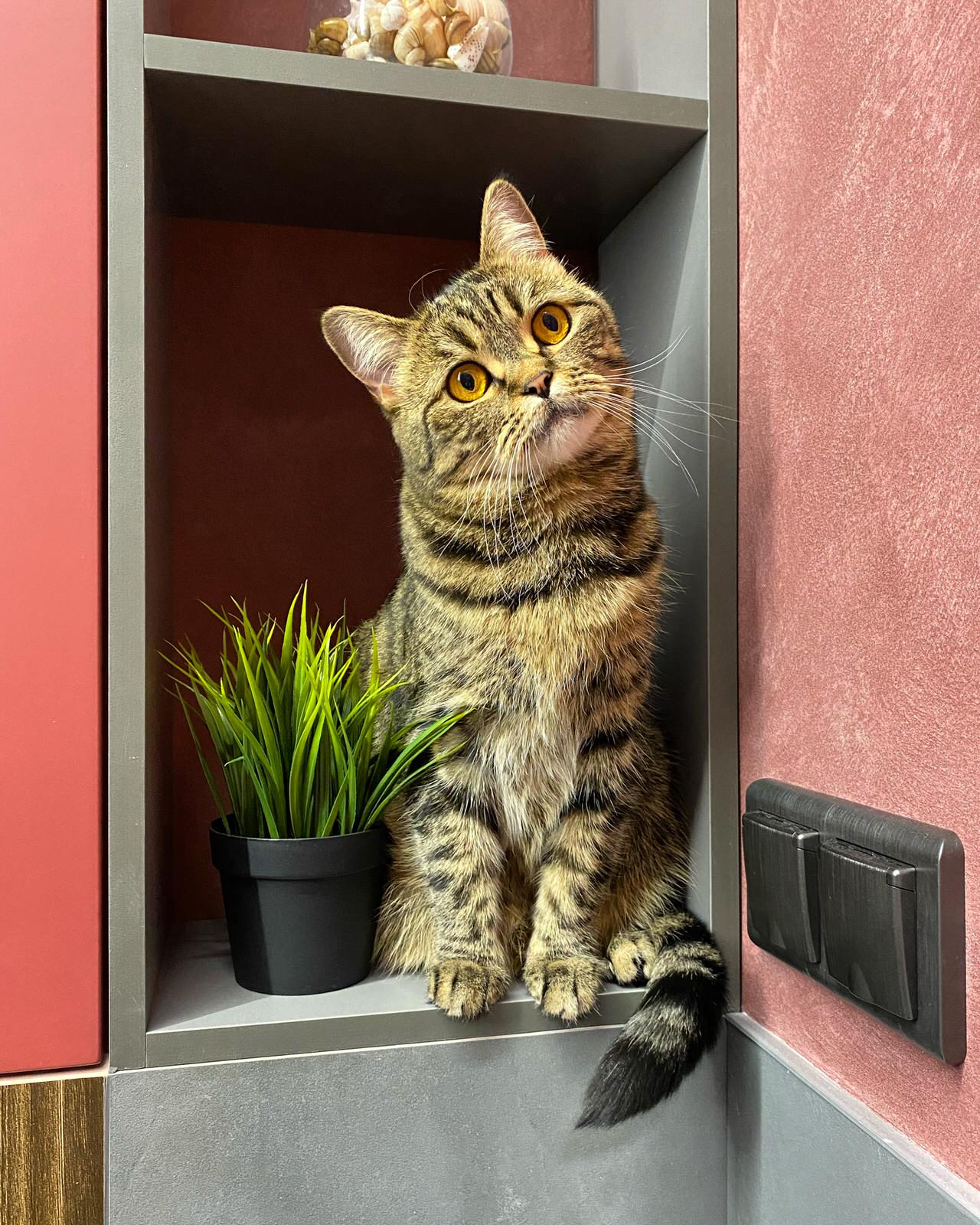 Четырёхкомнатная квартира 112кв.м для семьи с двумя детьми