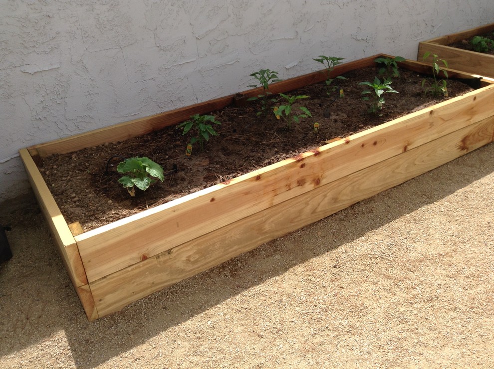 Photo of a rustic landscaping in Phoenix.