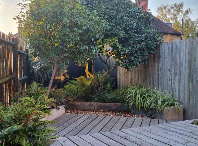 Decking level with inside the house - Surbiton trendy-have