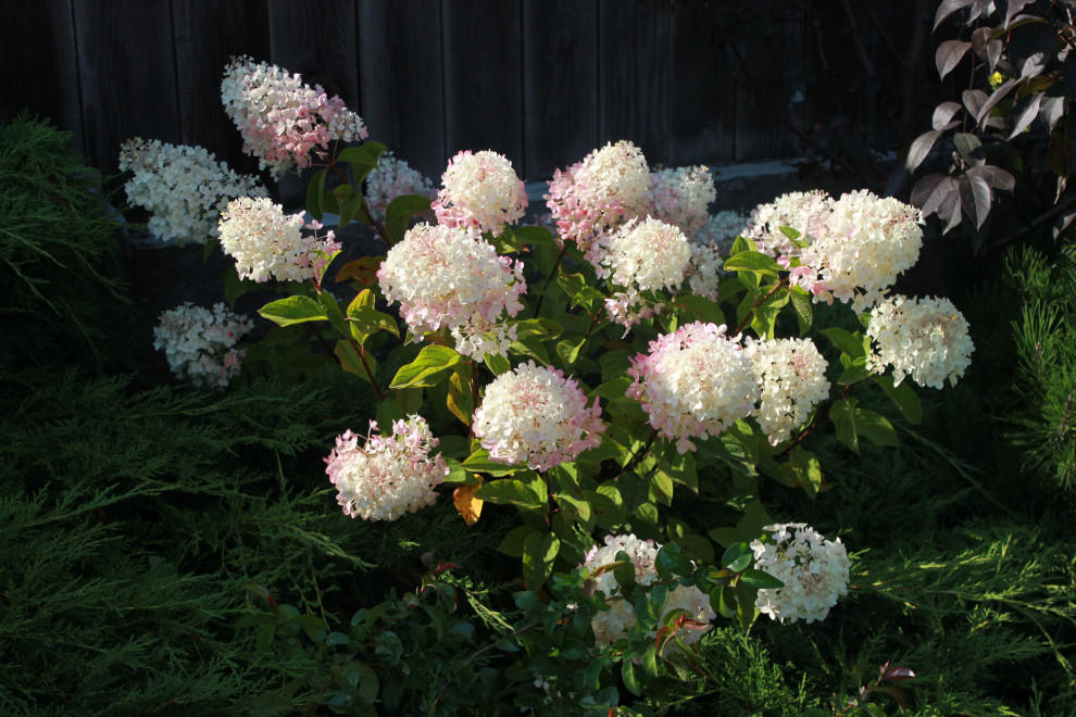 В гостях у Сказки