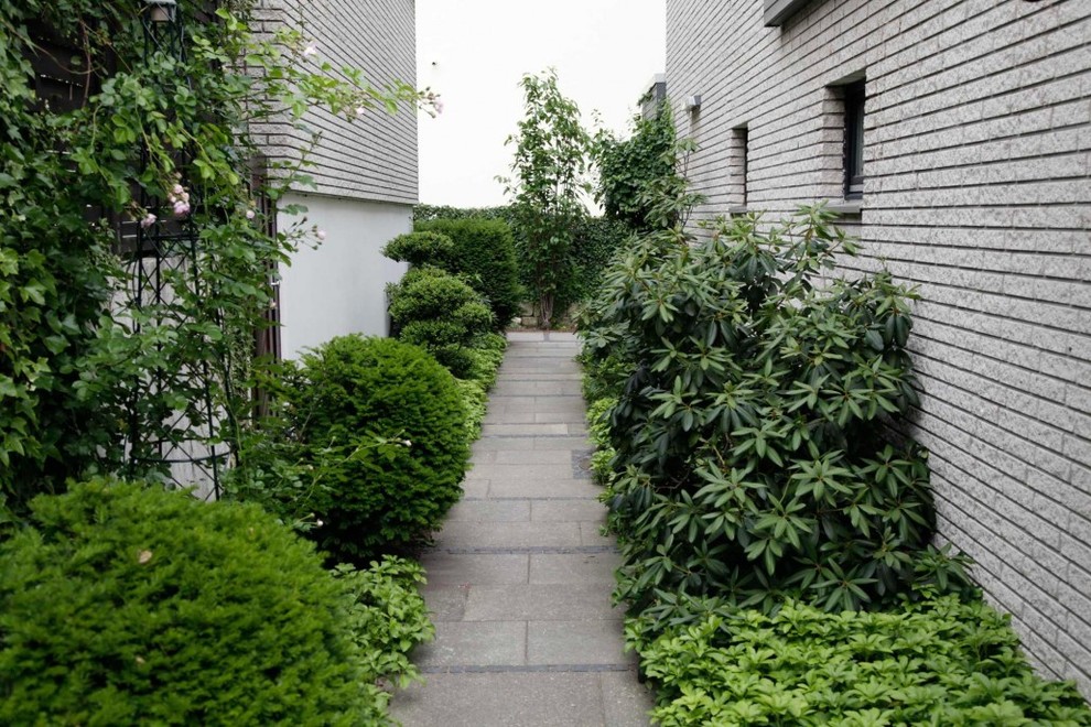 Design ideas for a mid-sized contemporary garden for summer in Berlin with a garden path.
