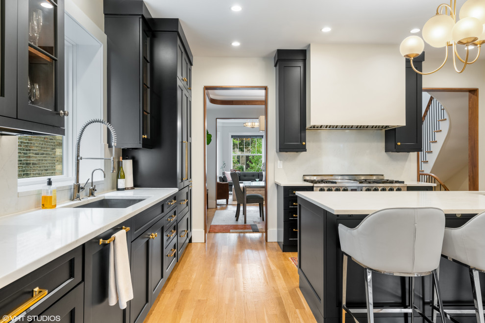 Kitchen - transitional kitchen idea in Chicago with a single-bowl sink, shaker cabinets, black cabinets, stainless steel appliances and an island