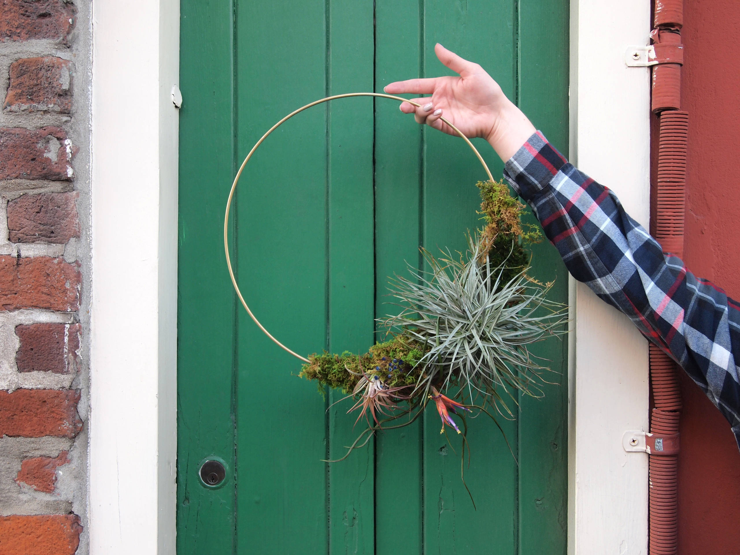 DIY: Holiday Air Plant Wreath