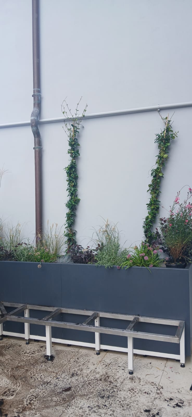 Realizzazione Terrazza dai sapori mediterranei